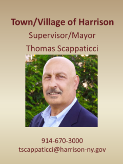 Tom Scappaticci